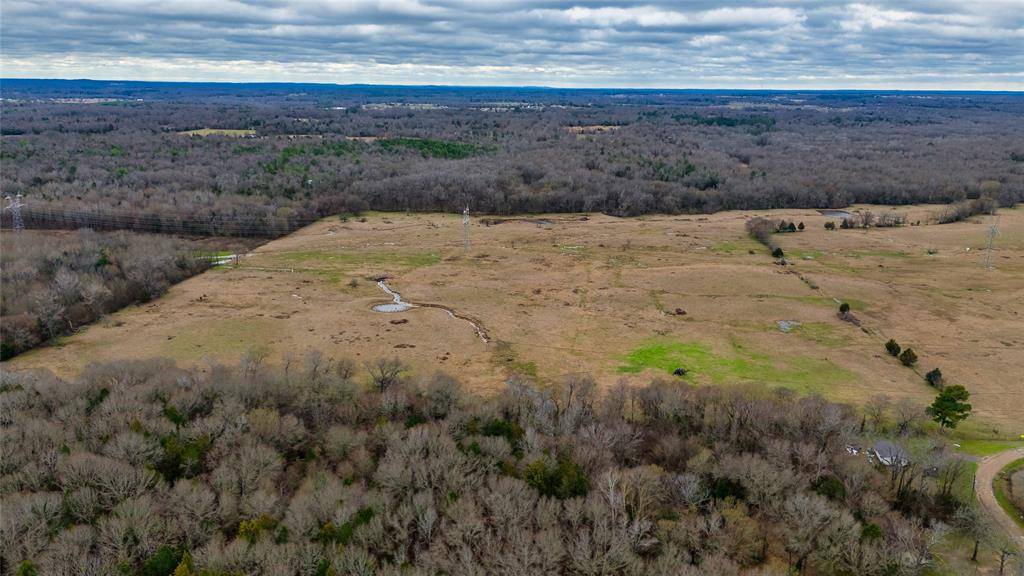 Ben Wheeler, TX 75754,TBD Tract 1 CR 4503