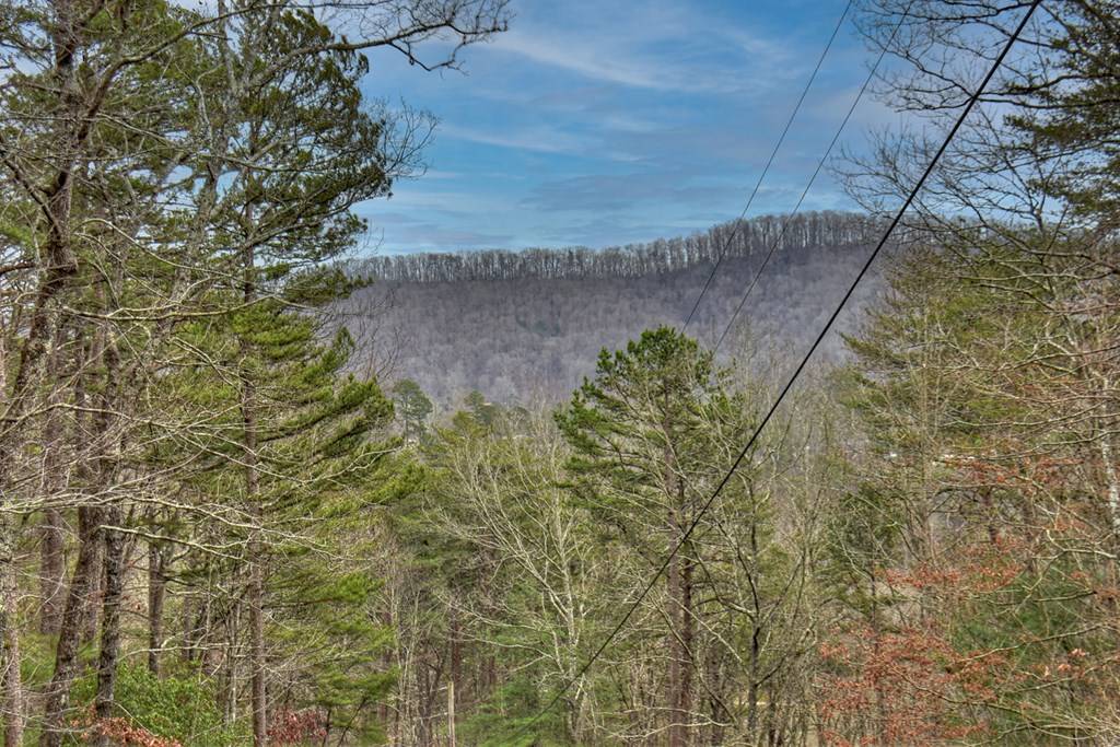 Blue Ridge, GA 30513,2.56 ac Trackside Lane