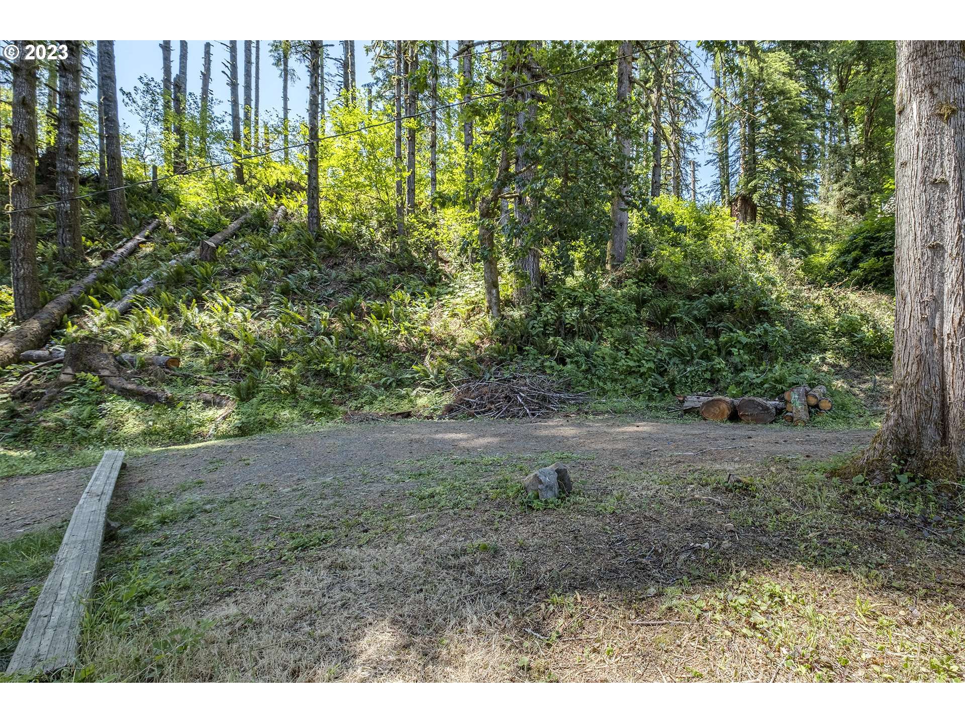 Birkenfeld, OR 97016,North Shore DR