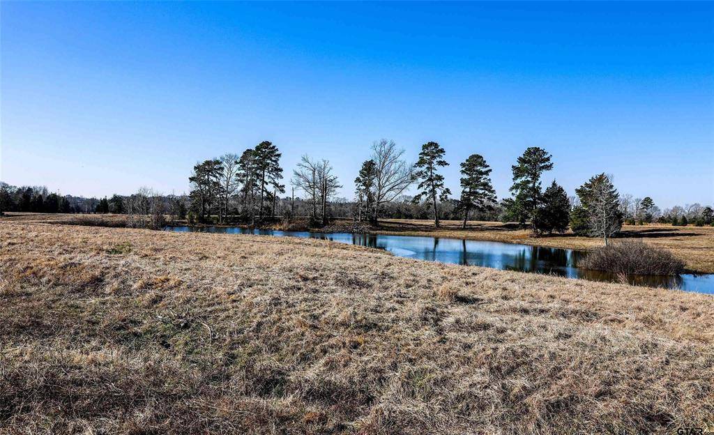 Henderson, TX 75652,TBD County Road 317