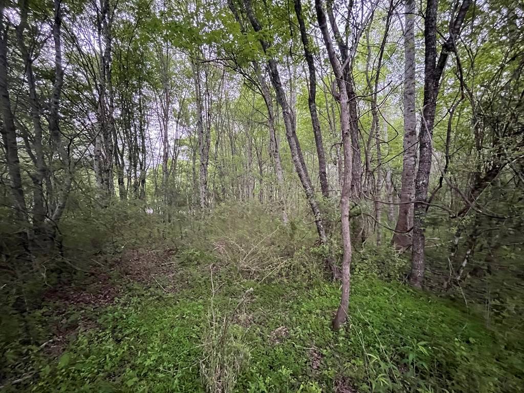 Hayesville, NC 28904,Lot S River Oaks Drive