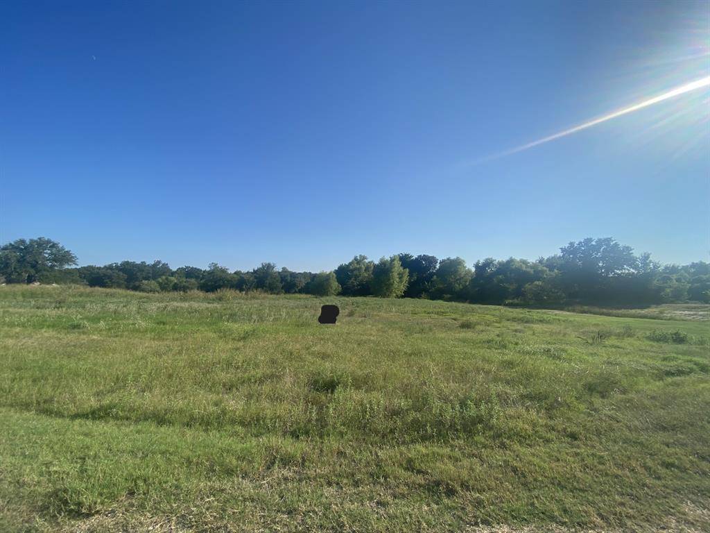 Brock, TX 76087,239 Ruby Drive