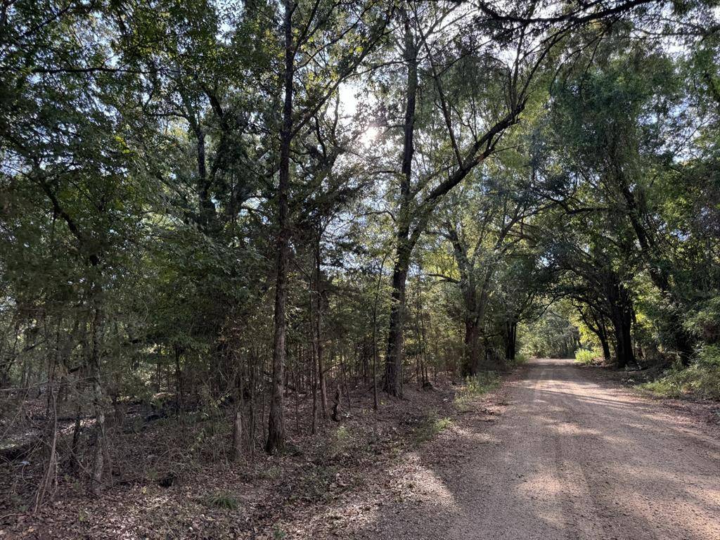 Bagwell, TX 75412,137 CR 2362