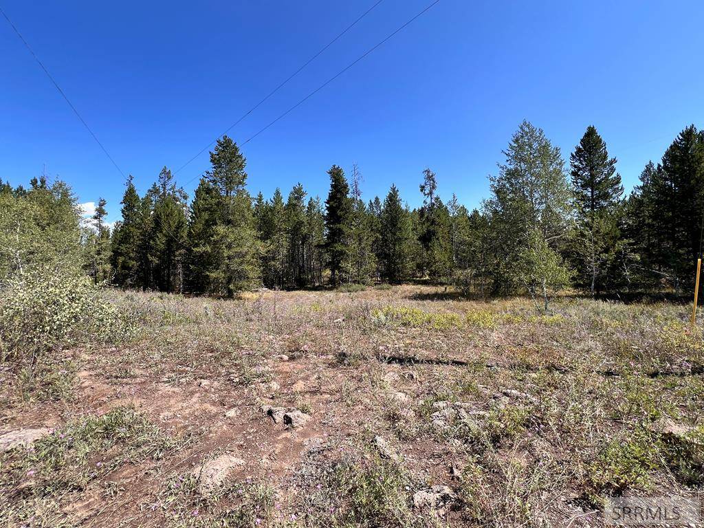 Island Park, ID 83429,3334 Lupine Circle