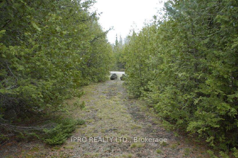 Northern Bruce Peninsula, ON N0H 1W0,308 Ira Lake RD