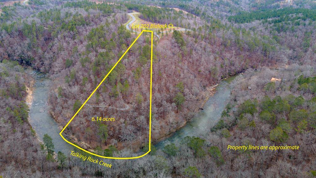 Ellijay, GA 30540,Lot 202 Blalock Mountain Court