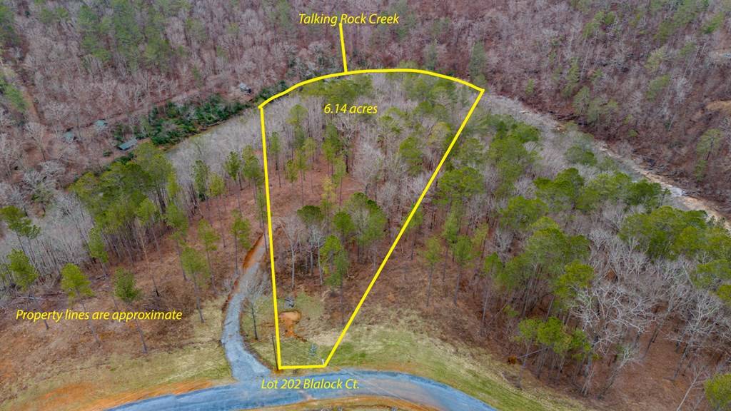 Ellijay, GA 30540,Lot 202 Blalock Mountain Court