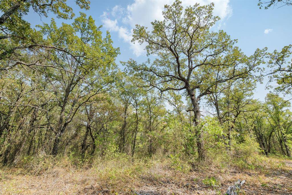 Perrin, TX 76486,Lot 15 Double B Ranch Road S