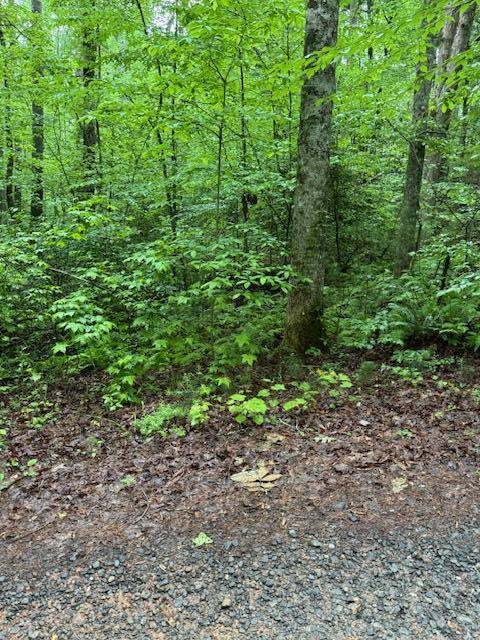 Ellijay, GA 30540,Lot 19 Almond Circle