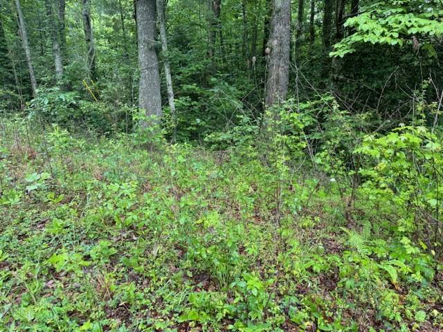 Ellijay, GA 30540,Lot 19 Almond Circle