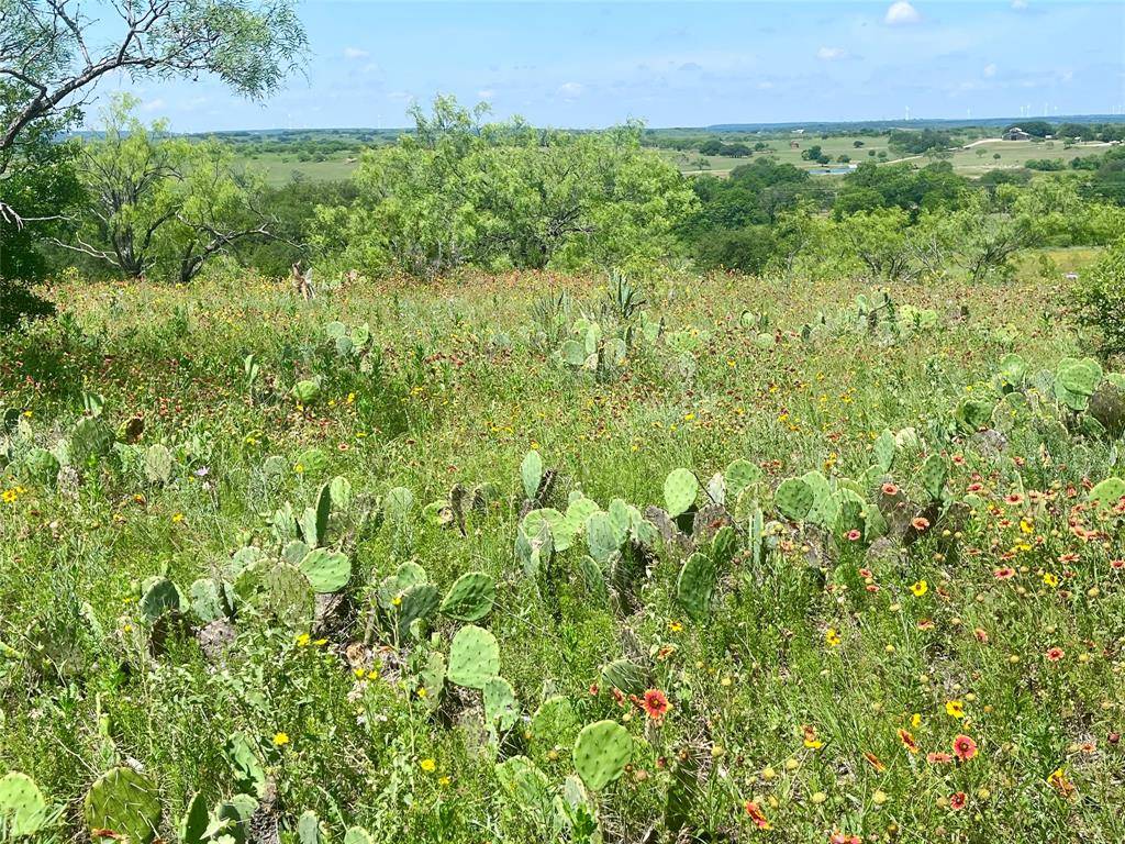 Comanche, TX 76442,lot59 Comanche Lake Road