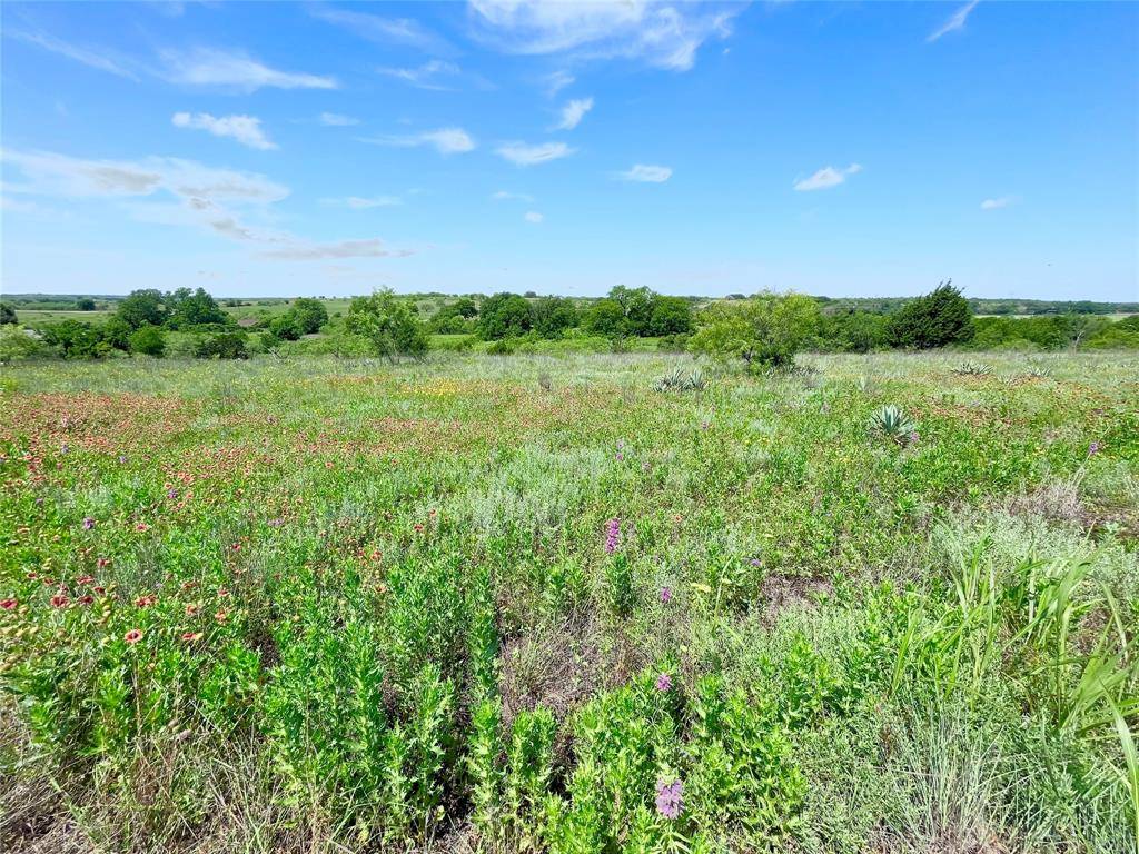 Comanche, TX 76442,Lot69 Greenwood Road