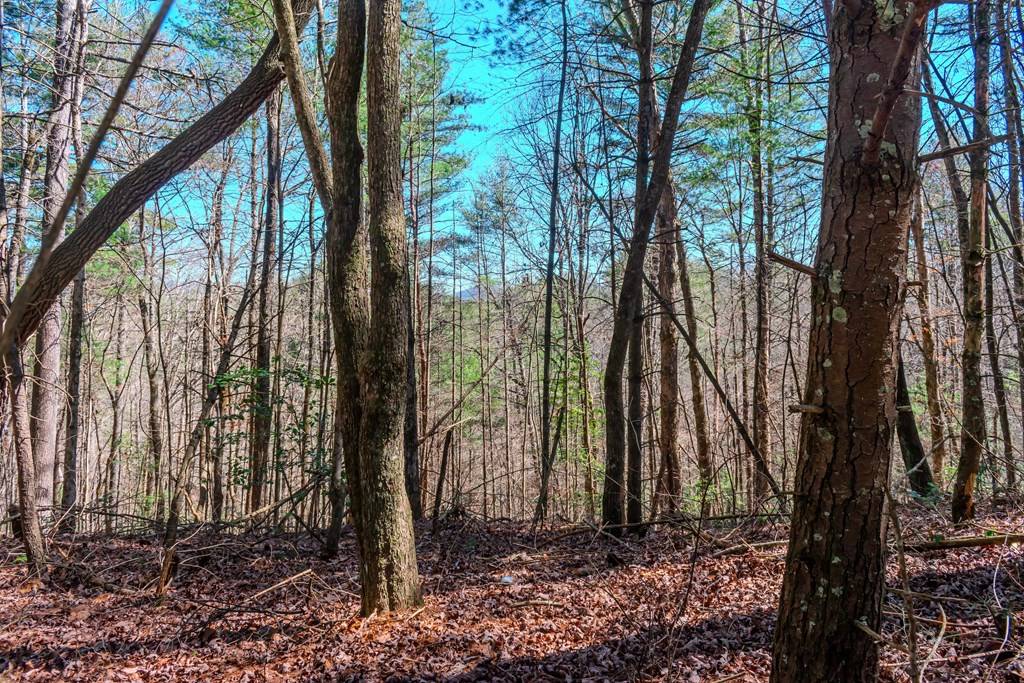 Ellijay, GA 30540,Lot 27 Brook Court