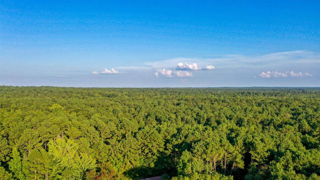 Jefferson, TX 75675,0 CR 3612