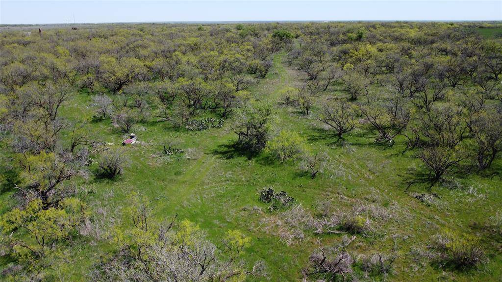 Throckmorton, TX 79606,0000 FM 923