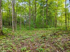 Grey Highlands, ON N0C 1E0,Lot 6 10Th Concession N/A