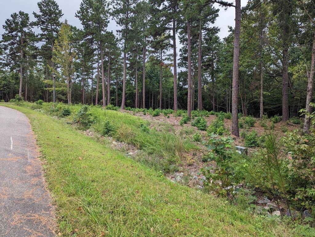 Clarksville, VA 23927,Lot 19 Grace Stone Drive