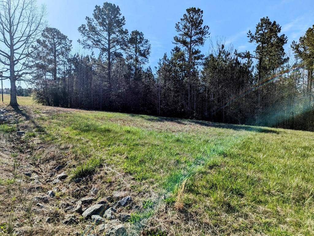 Clarksville, VA 23927,Lot 21 Grace Stone Drive