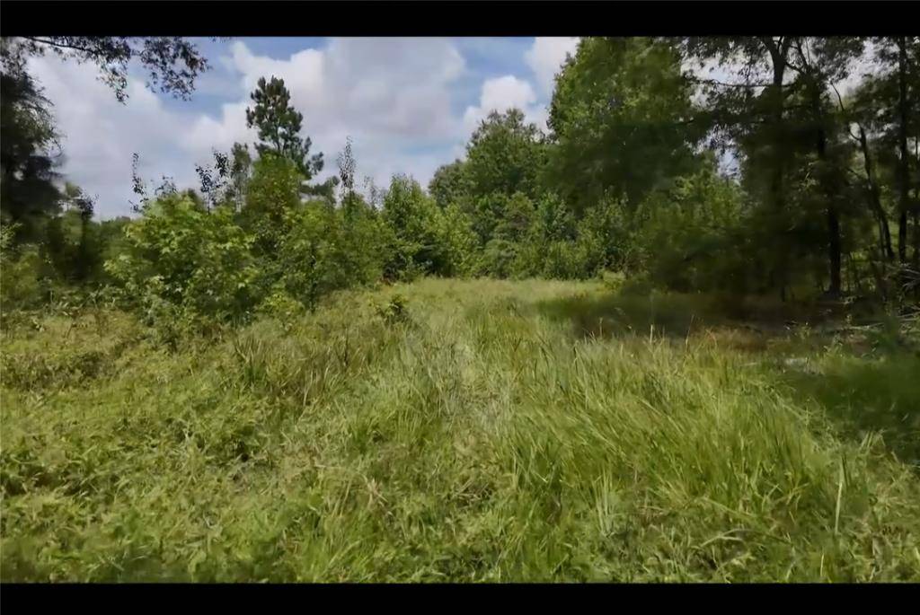 Detroit, TX 75436,Lot 2 County Road 2215