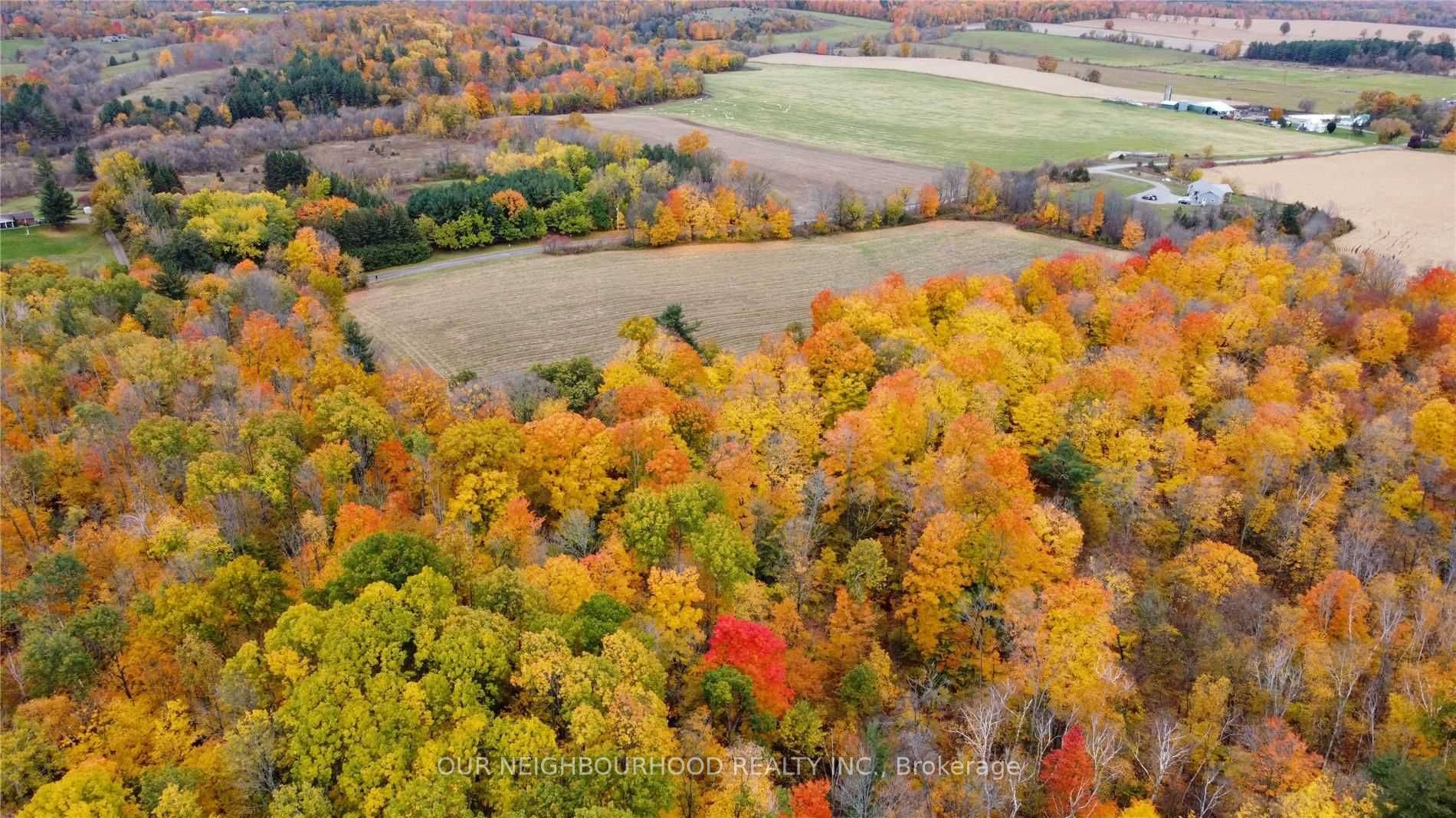 Trent Hills, ON K0K 3K0,0 Concession Road 2 N/A E