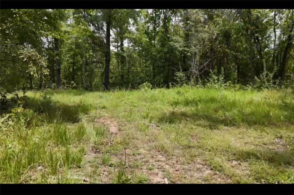 Detroit, TX 75436,Lot 4 County Road 2215