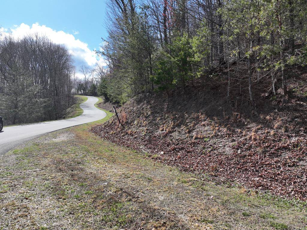 Ellijay, GA 30536,258 Andes Ridge