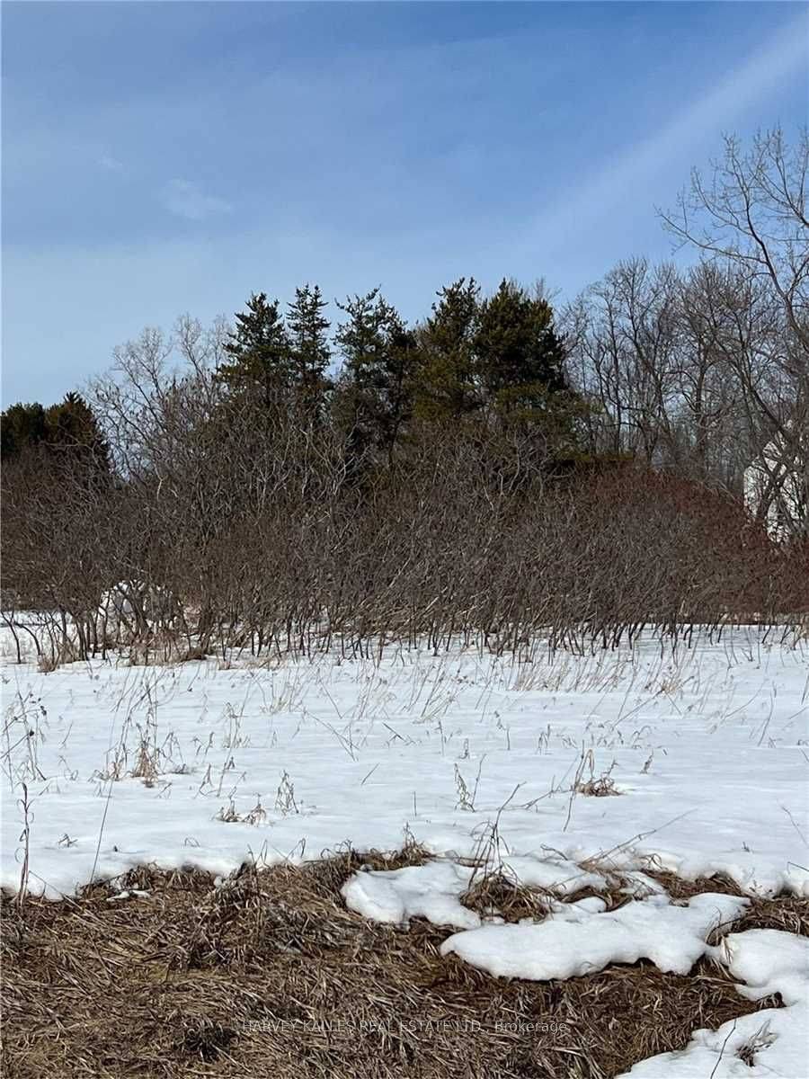 Prince Edward County, ON K0K 2T0,Lot 29 North Marysburgh CT