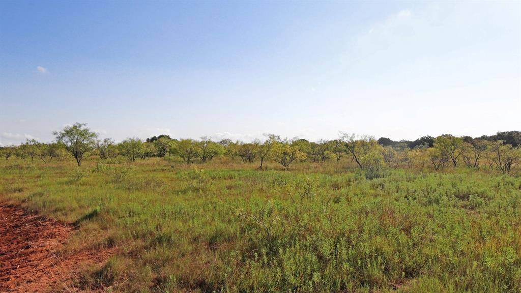 Gorman, TX 76454,TBD County Road 363