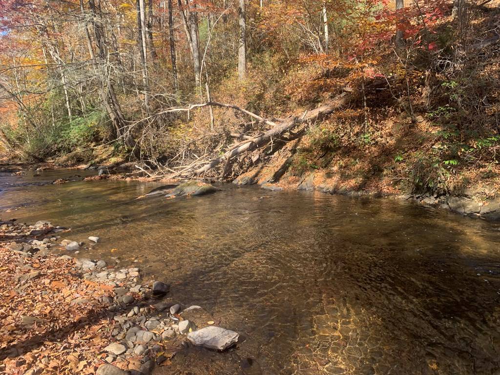 Blairsville, GA 30512,Lot 5 Spiva Cove Road