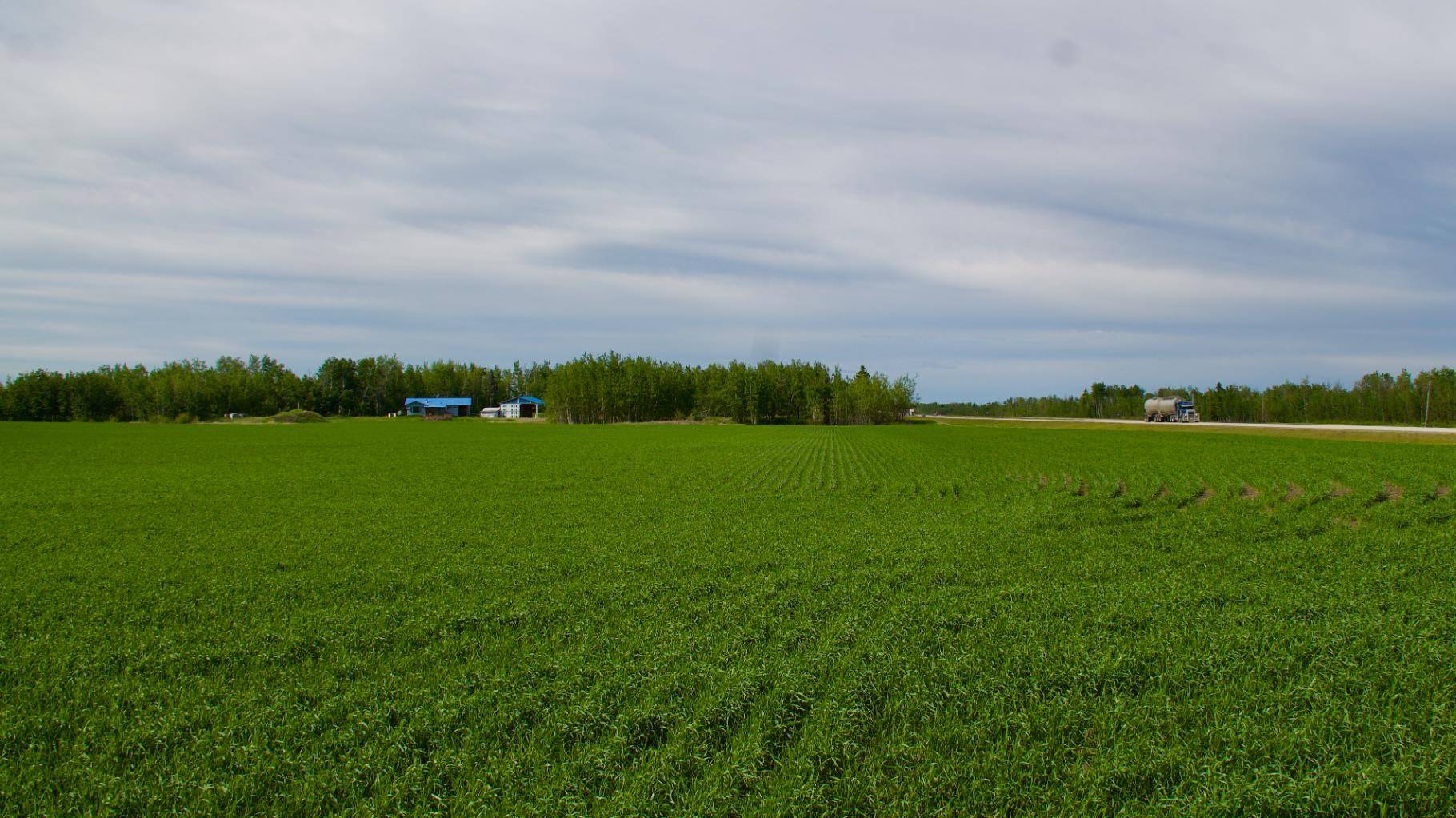 Rural Greenview No. 16 M.d. Of, AB T0H 3N0,68362 43 HWY