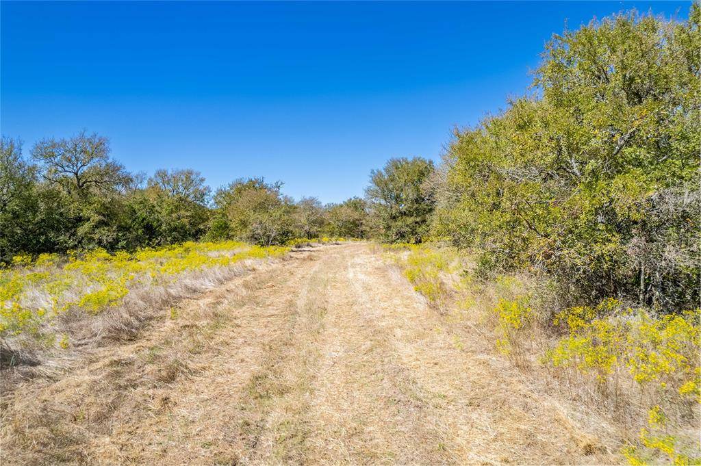 Gatesville, TX 76528,TBD Gillmore Road