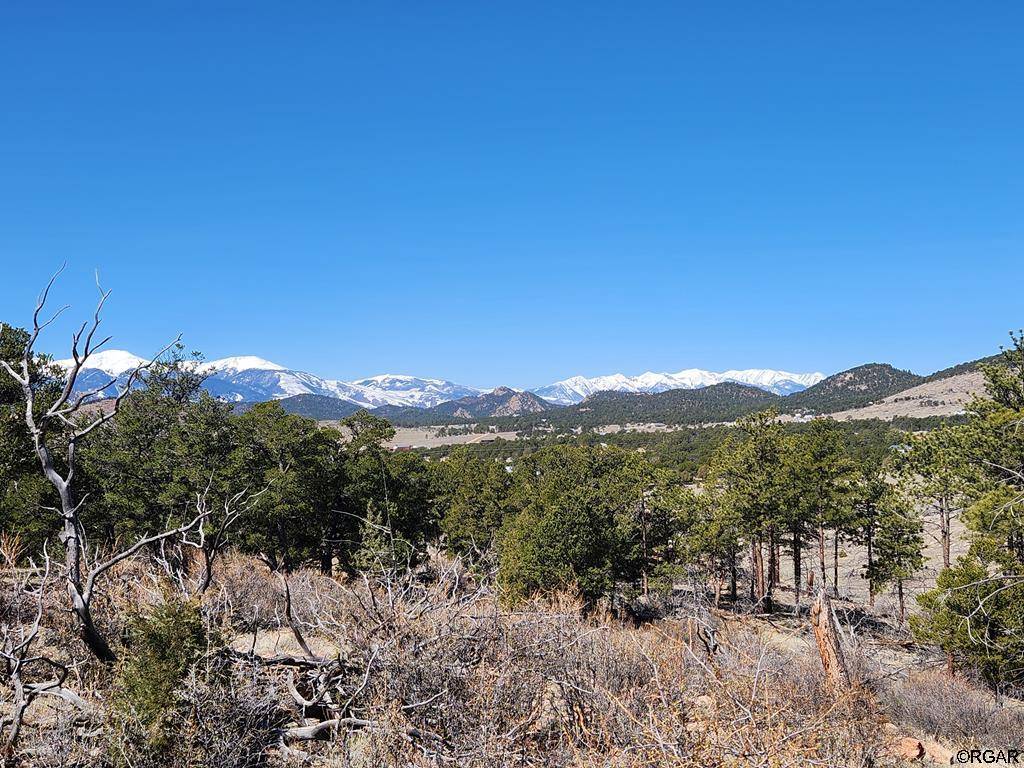 Cotopaxi, CO 81223,TBD L Path