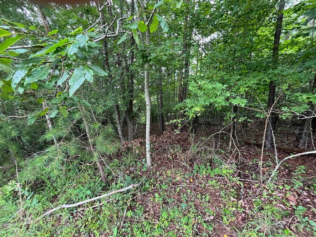 Murphy, NC 28906,Lot 30 Sugar Maple Road