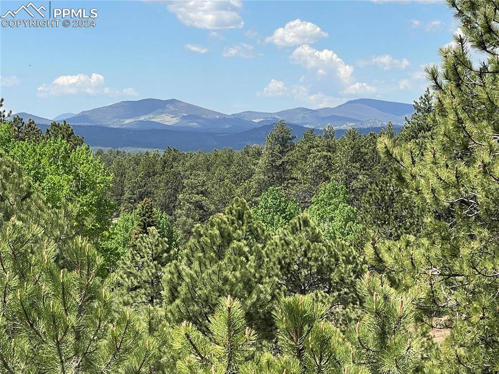 Florissant, CO 80816,2756 County Road 421