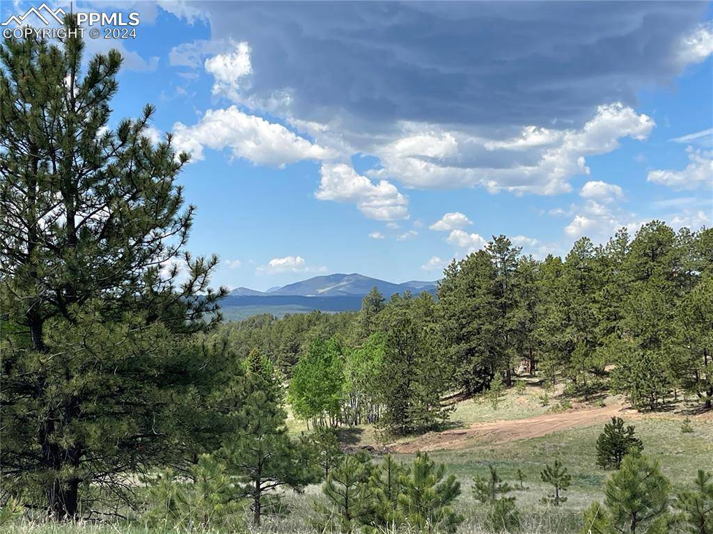 Florissant, CO 80816,2756 County Road 421