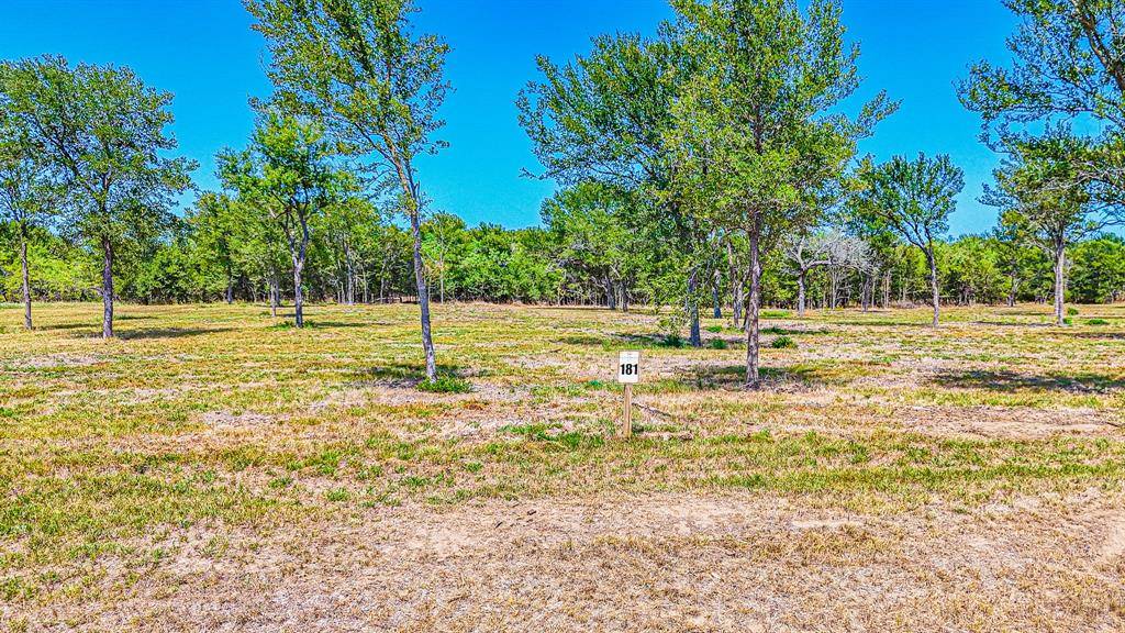 Corsicana, TX 75110,Lot 181 Waterfront Club Drive