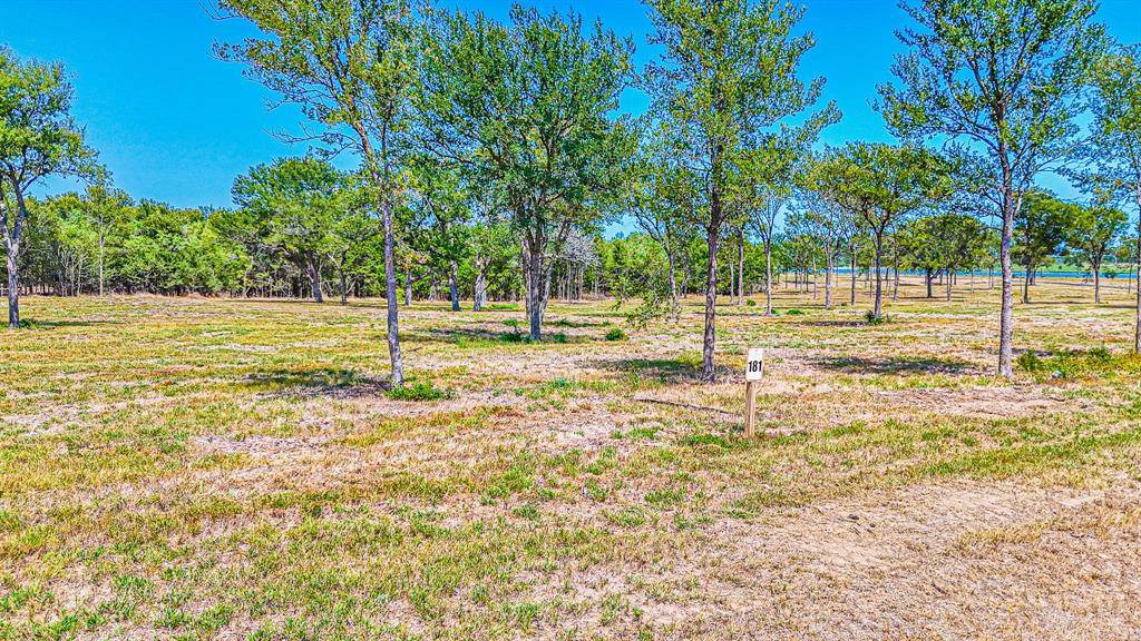 Corsicana, TX 75110,Lot 181 Waterfront Club Drive