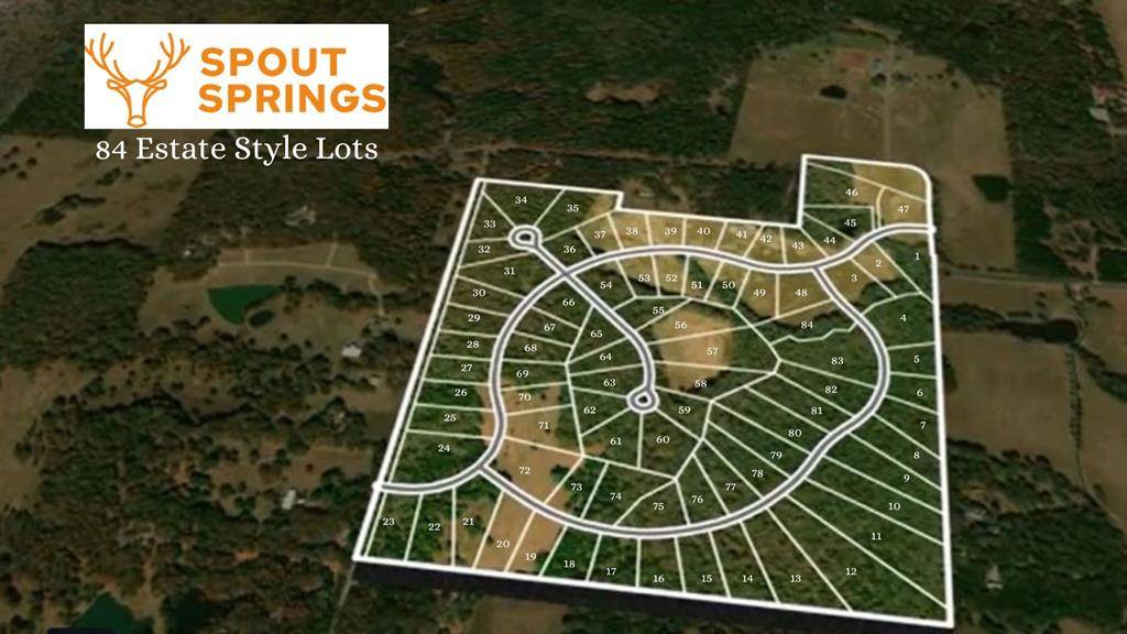 Pottsboro, TX 75076,Lot 79 Spout Springs Road