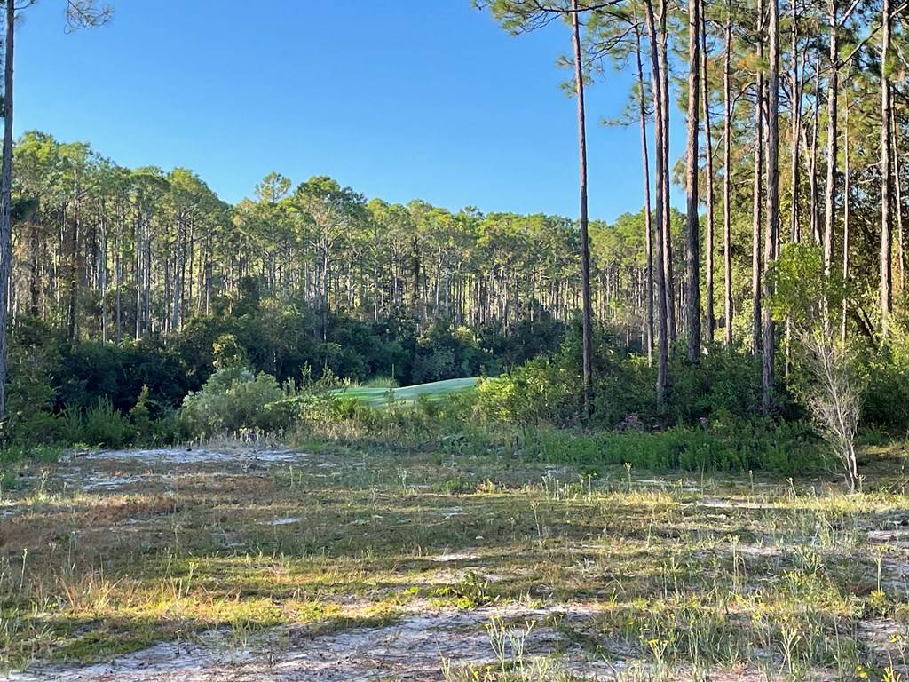 Carrabelle, FL 32322,189 Royal Tern Way