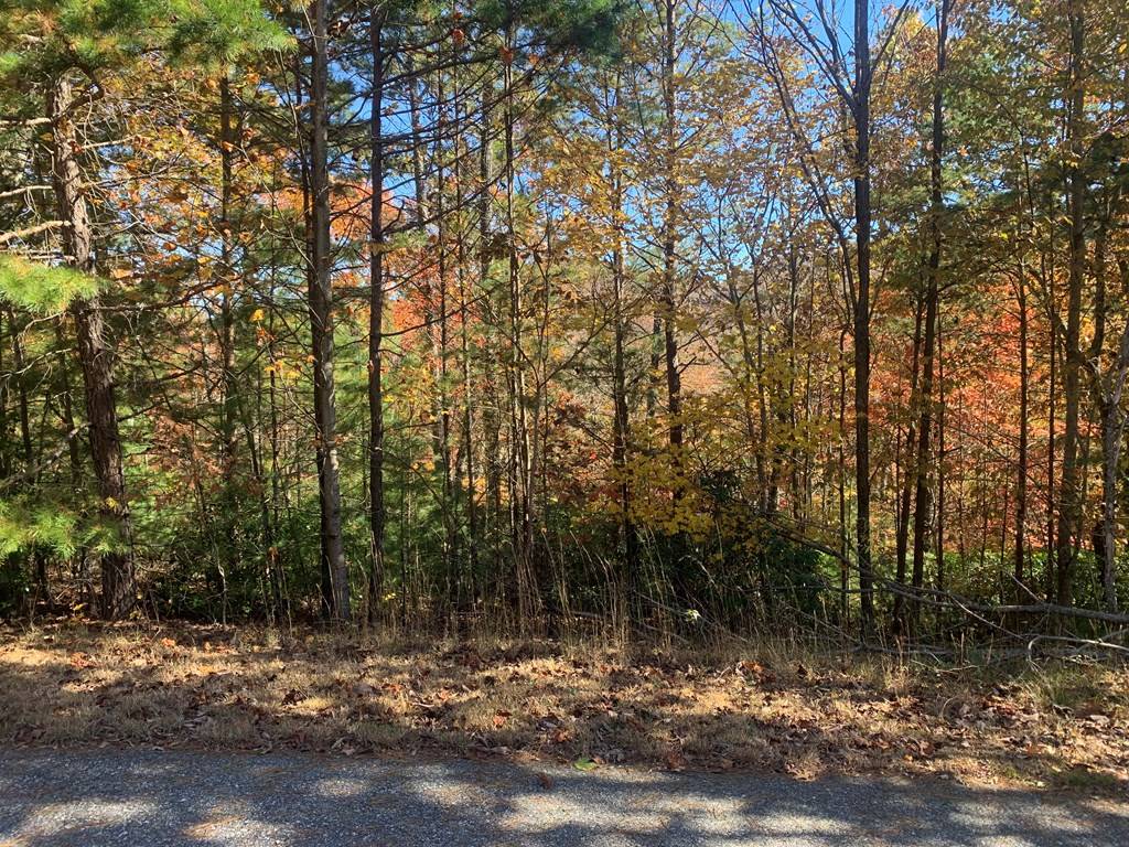 Blairsville, GA 30152,Lot 22 Snowbird Lane