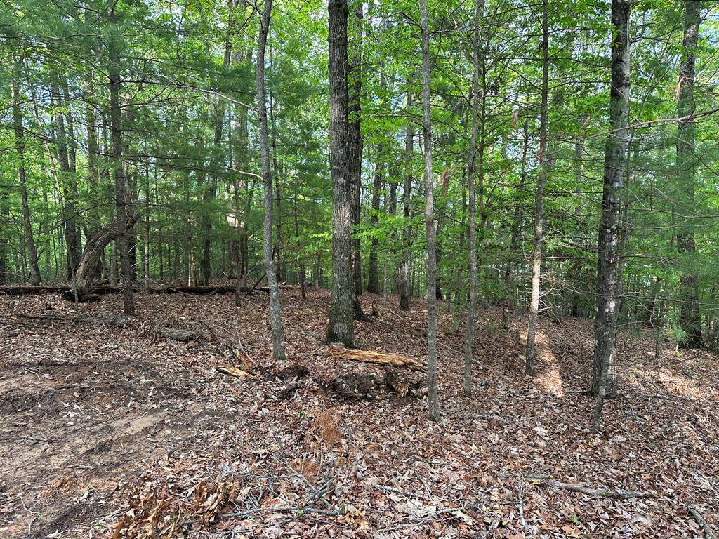 Murphy, NC 28906,Lot 6 Rhys Wood Road