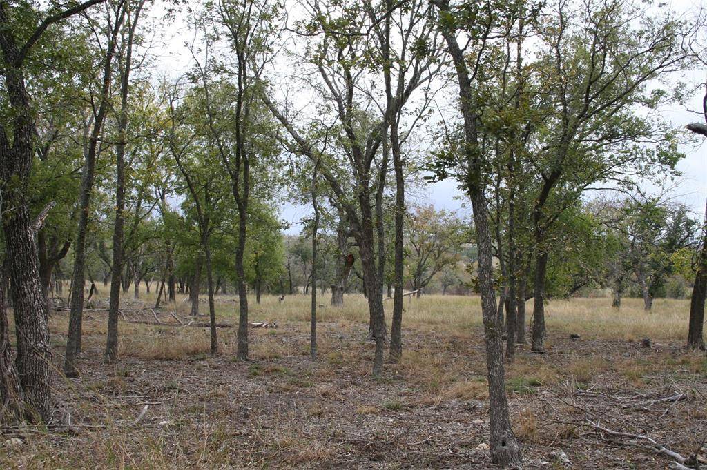 Star, TX 76880,00000 000County Road 512