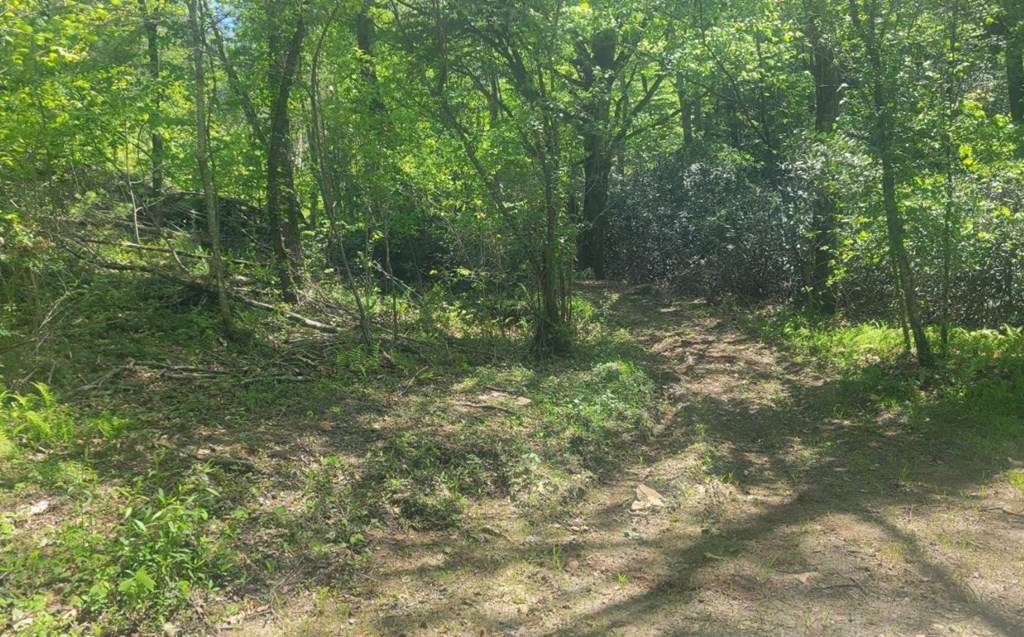 Hayesville, NC 28904,Lot 2&3 River Cove Lane