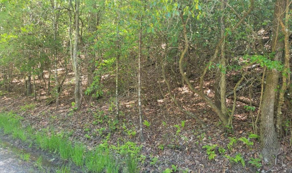 Hayesville, NC 28904,Lot 2&3 River Cove Lane