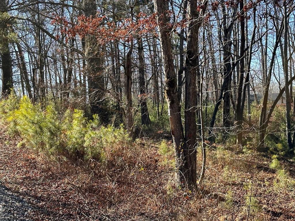 Morganton, GA 30560,Lot 14 Fairview Way