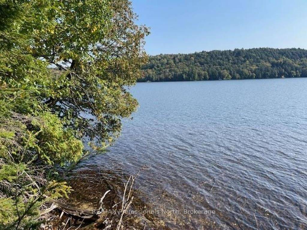 Lake Of Bays, ON P1H 2J6,1448-4 West Oxbow Lake RD