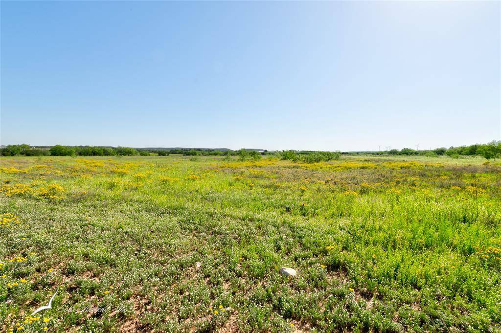 Sweetwater, TX 79556,TBD (Tract 1) CR 214