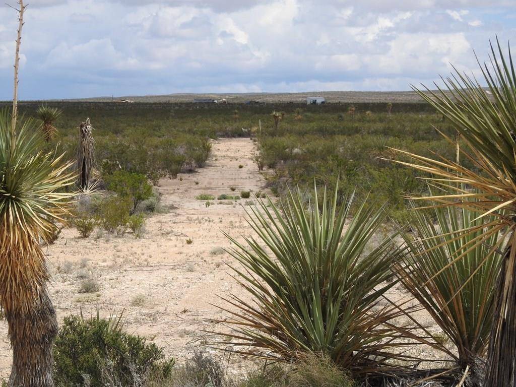 Terlingua, TX 79852,51345 State Hwy 118 S