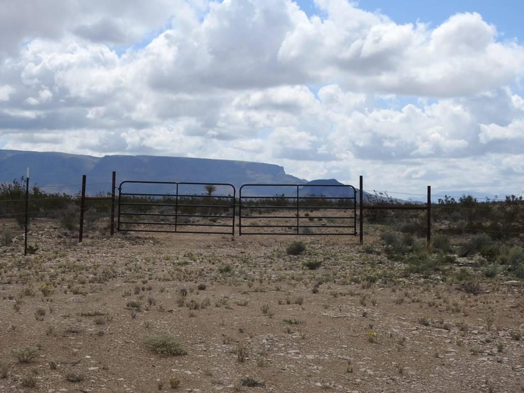 Terlingua, TX 79852,51345 State Hwy 118 S