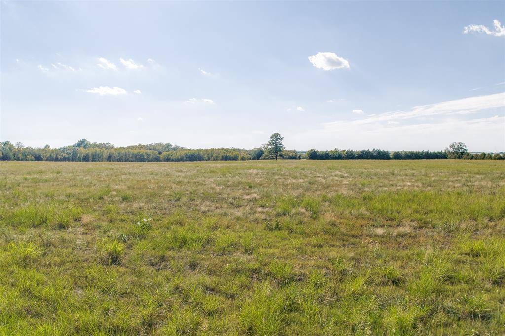 Dodd City, TX 75438,Tract 3 County Road 2975